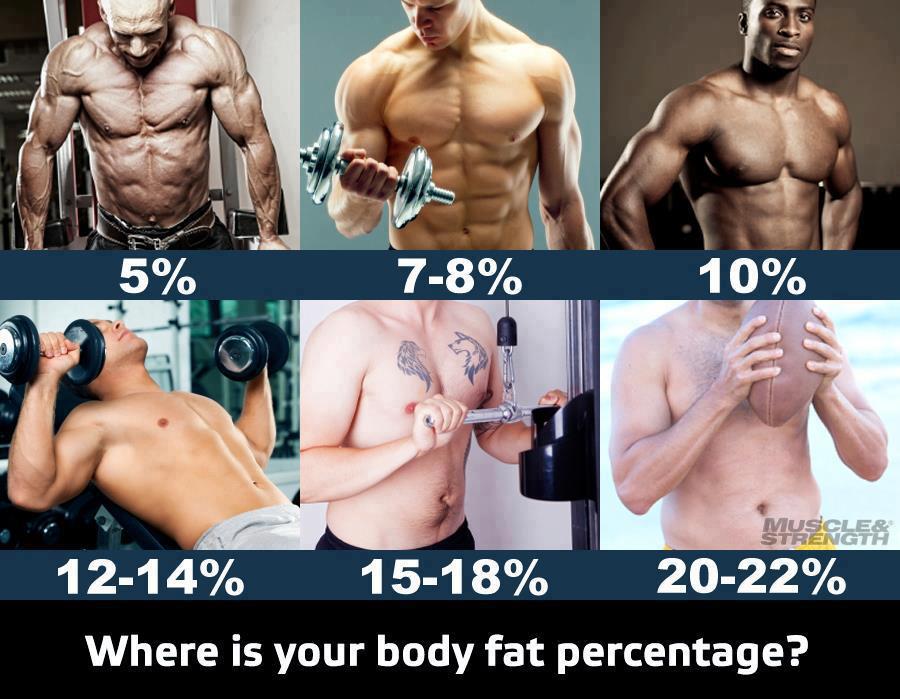 10 Body Fat Male Diets