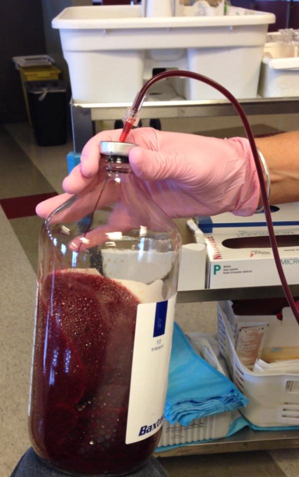 How long does it take to replace a pint of blood?