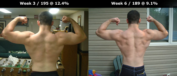 Best Diet For Steroid Cutting Cycle