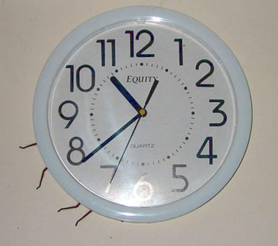 Click image for larger version. 

Name:	spider-behind-clock.jpg 
Views:	189 
Size:	38.5 KB 
ID:	117895