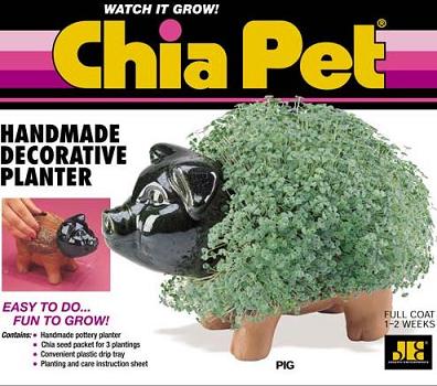 Click image for larger version. 

Name:	chia-pet.jpg 
Views:	85 
Size:	33.6 KB 
ID:	118108