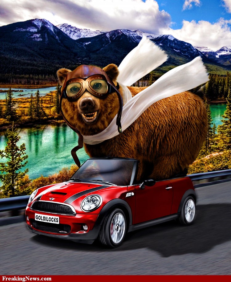 Click image for larger version. 

Name:	Bear-Driving-a-Car-in-the-Mountains--74596.jpg 
Views:	451 
Size:	228.0 KB 
ID:	119172