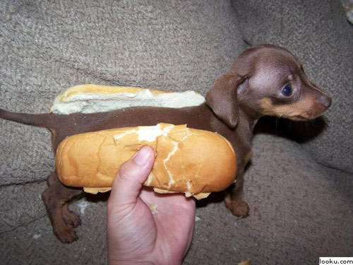 Click image for larger version. 

Name:	20081209-hot-dog.jpg 
Views:	1446 
Size:	54.7 KB 
ID:	119610