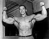 Click image for larger version. 

Name:	Arnold-Schwarzenegger-5.jpg 
Views:	1413 
Size:	25.6 KB 
ID:	120018