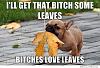 Click image for larger version. 

Name:	Bitches.love.leaves.678540_n.jpg 
Views:	171 
Size:	39.7 KB 
ID:	120675
