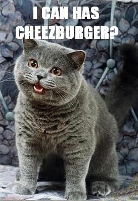 Click image for larger version. 

Name:	HAPPYCAT_I_CAN_HAS_CHEEZBURGER.JPG 
Views:	125 
Size:	29.1 KB 
ID:	120782