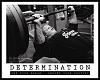 Click image for larger version. 

Name:	bodybuilding-weightlifting-poster.jpg 
Views:	457 
Size:	50.4 KB 
ID:	121639