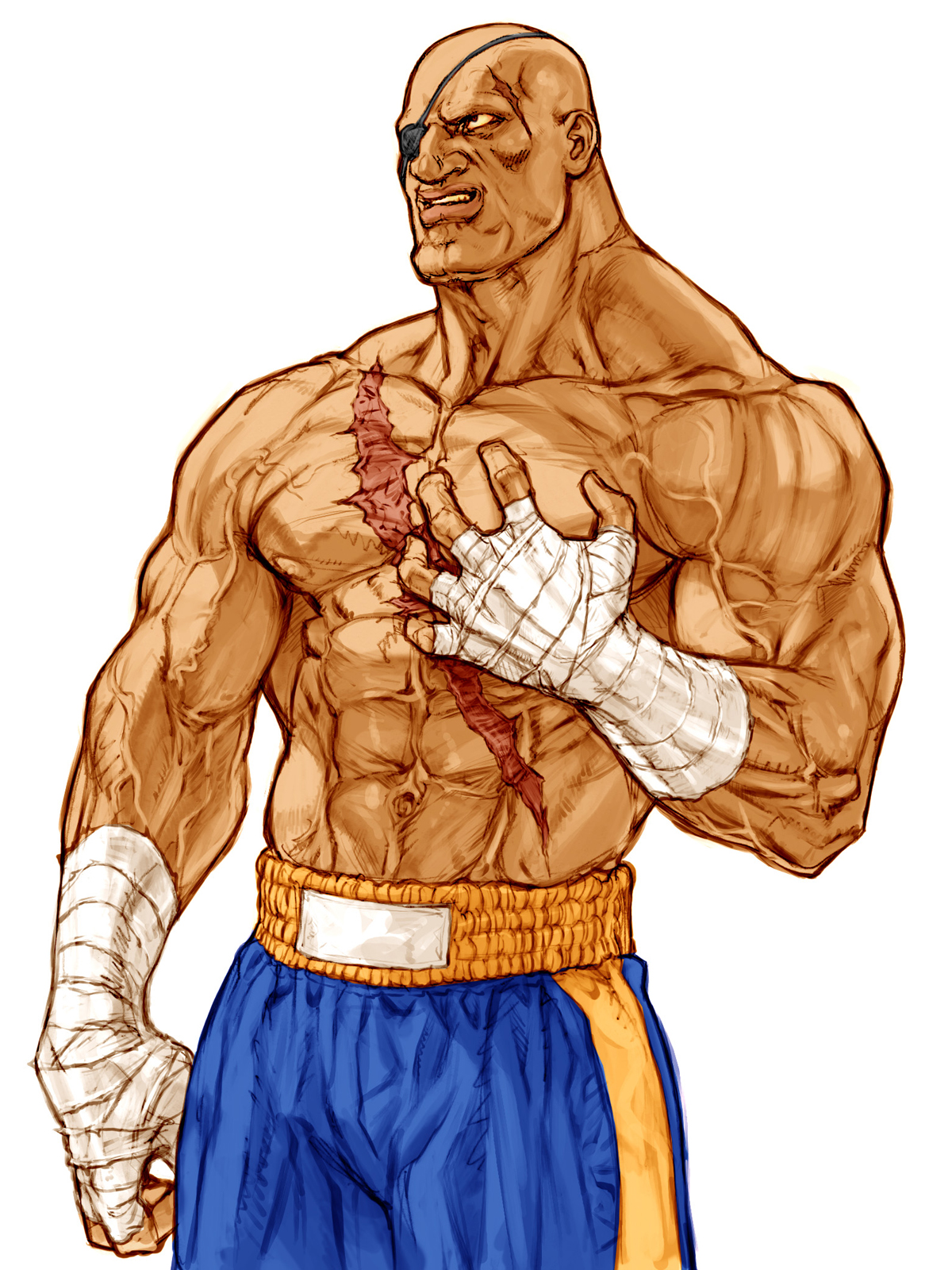 Click image for larger version. 

Name:	sagat-c2.jpg 
Views:	151 
Size:	1.11 MB 
ID:	122211