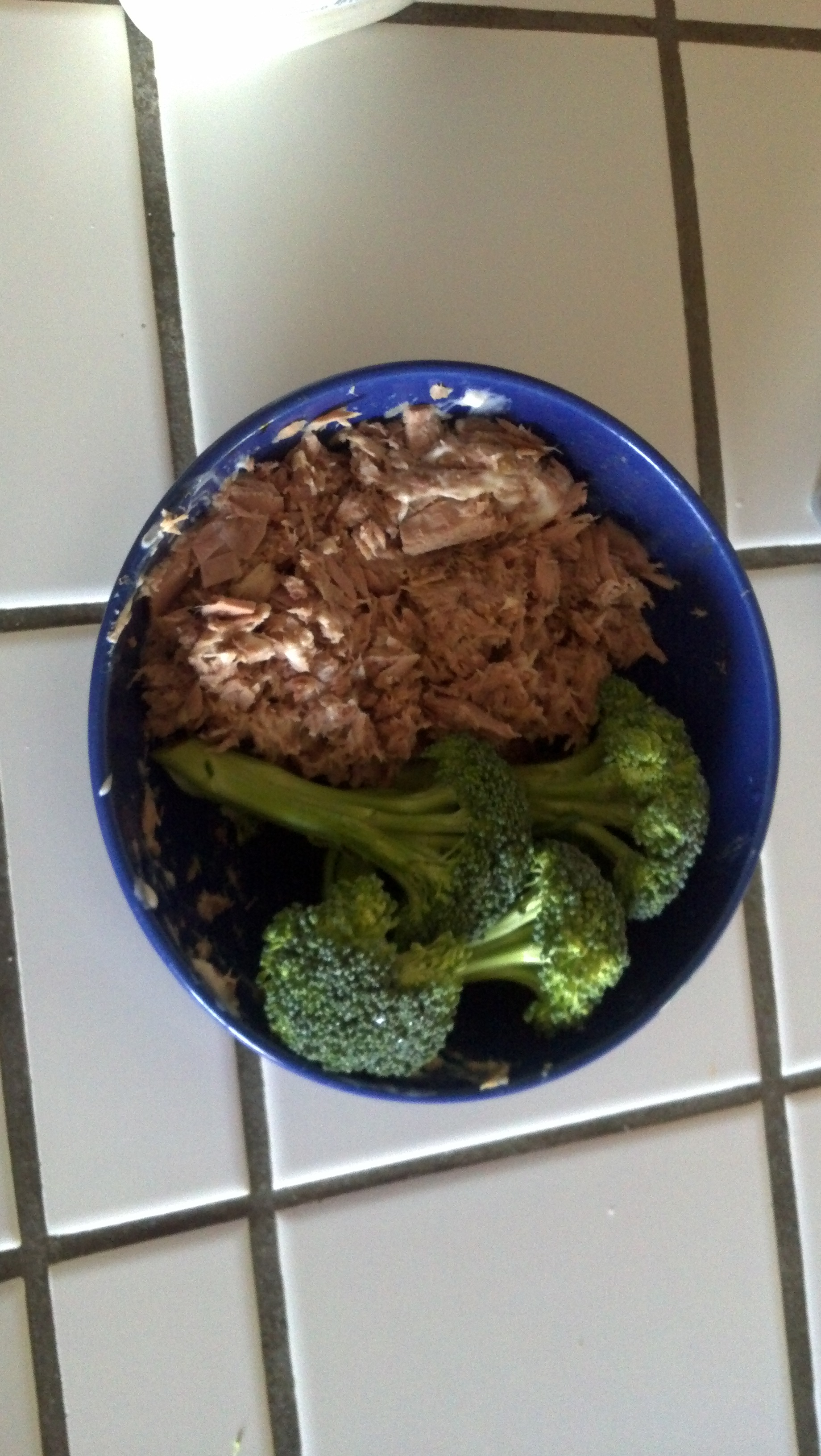 Click image for larger version. 

Name:	meal6_tuna.jpg 
Views:	117 
Size:	1.24 MB 
ID:	123054