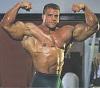 Click image for larger version. 

Name:	bodybuilder-greg-kovacs.jpg 
Views:	6181 
Size:	6.7 KB 
ID:	125394