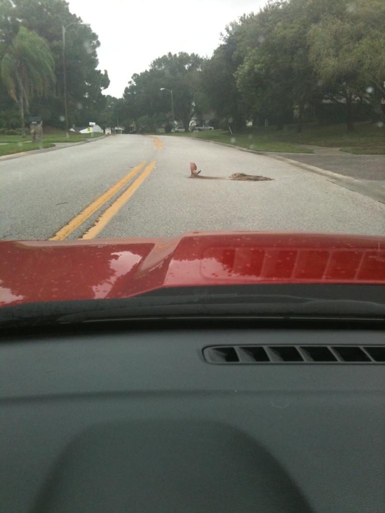 Click image for larger version. 

Name:	Isaic1.jpg 
Views:	118 
Size:	225.4 KB 
ID:	125980