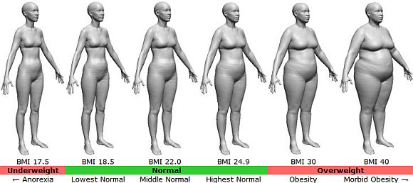 Click image for larger version. 

Name:	BMI-female.jpg 
Views:	802 
Size:	31.1 KB 
ID:	127287