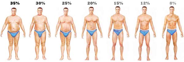 Click image for larger version. 

Name:	body-fat-levels-men1.jpg 
Views:	548 
Size:	20.0 KB 
ID:	127292