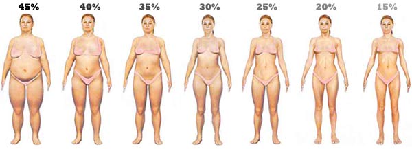 Click image for larger version. 

Name:	body-fat-levels-women21.jpg 
Views:	765 
Size:	21.1 KB 
ID:	127293