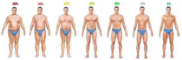 Click image for larger version. 

Name:	body-fat-percentage-men-1.jpg 
Views:	35002 
Size:	30.3 KB 
ID:	127645