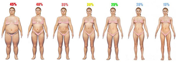 Click image for larger version. 

Name:	body-fat-percentage-women-1.jpg 
Views:	32303 
Size:	31.3 KB 
ID:	127647