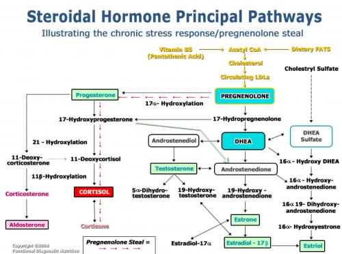 Click image for larger version. 

Name:	resizedimage500372-steroidal-hormones.jpg 
Views:	3952 
Size:	36.1 KB 
ID:	130245