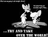Click image for larger version. 

Name:	pinky_brain.jpg 
Views:	125 
Size:	32.1 KB 
ID:	130812