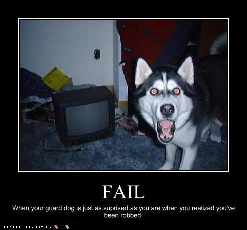 Click image for larger version. 

Name:	funny-dog-pictures-surprised-robbed.jpg 
Views:	105 
Size:	21.6 KB 
ID:	134893