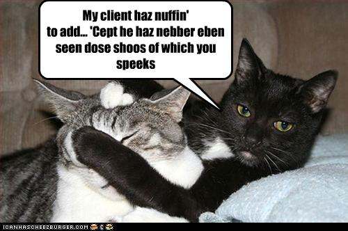 Click image for larger version. 

Name:	funny-pictures-cat-has-not-seen-shoes.jpg 
Views:	92 
Size:	28.3 KB 
ID:	134895