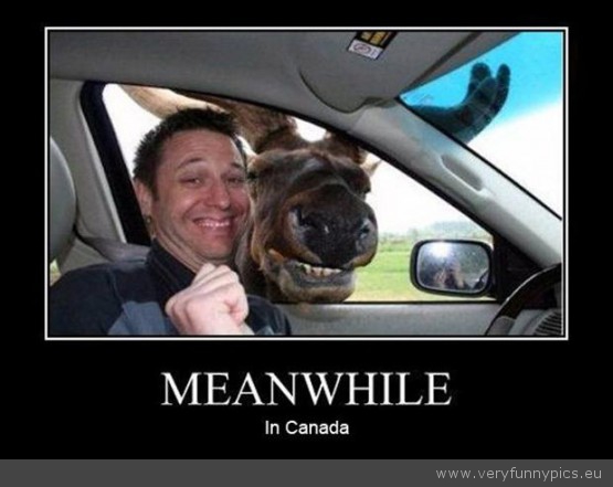 Click image for larger version. 

Name:	funny-picture-meanwhile-in-canada-555x441.jpg 
Views:	616 
Size:	84.6 KB 
ID:	135308