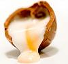 Click image for larger version. 

Name:	3217117101_cadbury_cream_egg_xlarge.jpeg 
Views:	206 
Size:	9.2 KB 
ID:	136411
