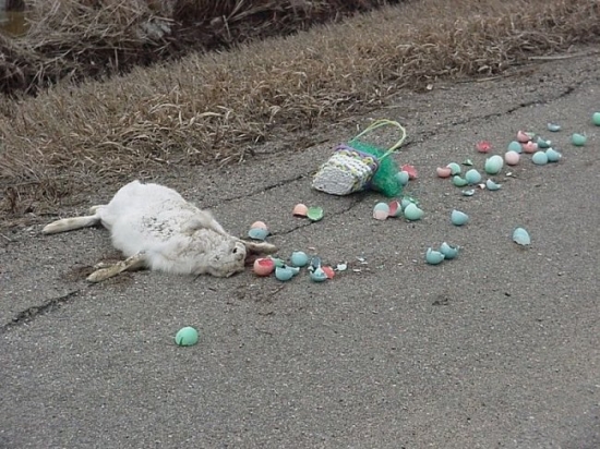 Click image for larger version. 

Name:	the-easter-bunny-is-dead.jpg 
Views:	169 
Size:	217.6 KB 
ID:	136555
