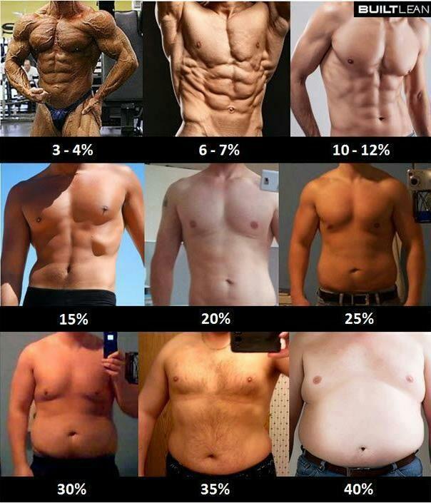Click image for larger version. 

Name:	5906d1350223326-bodyfat-calculator-577102_10151046642656856_1532548605_n.jpg 
Views:	2300 
Size:	62.3 KB 
ID:	137589