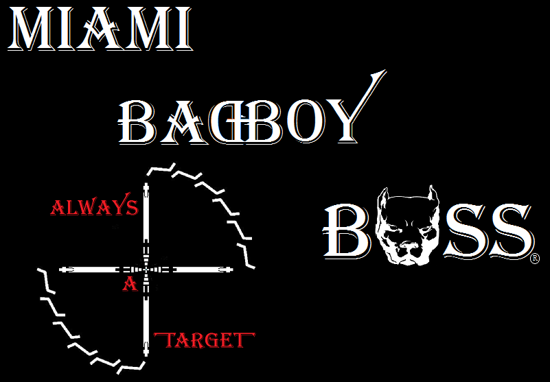 Click image for larger version. 

Name:	MBB BOSS Target B & R.png 
Views:	234 
Size:	63.9 KB 
ID:	140768