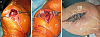 Click image for larger version. 

Name:	uuuuuuuuuuu.png 
Views:	38907 
Size:	160.8 KB 
ID:	142305