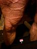 Click image for larger version. 

Name:	Leg 05022013.JPG 
Views:	444 
Size:	434.3 KB 
ID:	142318