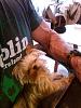 Click image for larger version. 

Name:	Tink1.JPG 
Views:	4114 
Size:	527.0 KB 
ID:	142384