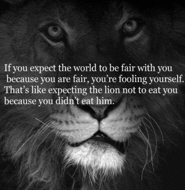 Click image for larger version. 

Name:	image-862787560.jpg 
Views:	156 
Size:	157.1 KB 
ID:	145928