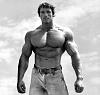 Click image for larger version. 

Name:	arnold.jpg 
Views:	3497 
Size:	45.9 KB 
ID:	147855