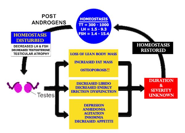 Click image for larger version. 

Name:	homeostasis.jpg 
Views:	134 
Size:	42.4 KB 
ID:	151726