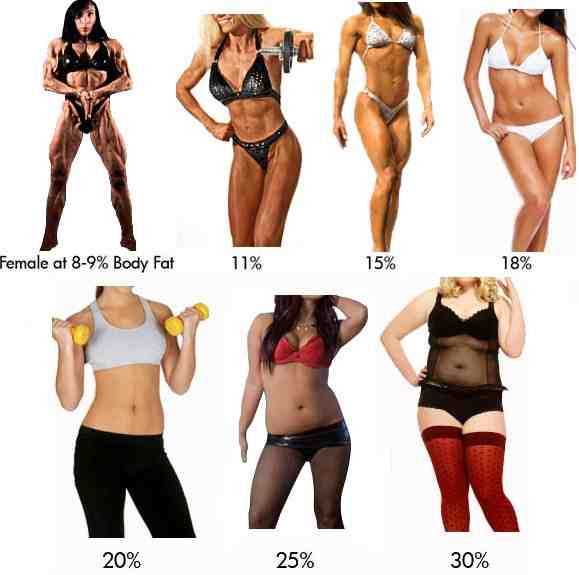 Click image for larger version. 

Name:	bodyfat-chart-visual-women-03.jpg 
Views:	25987 
Size:	22.0 KB 
ID:	152572