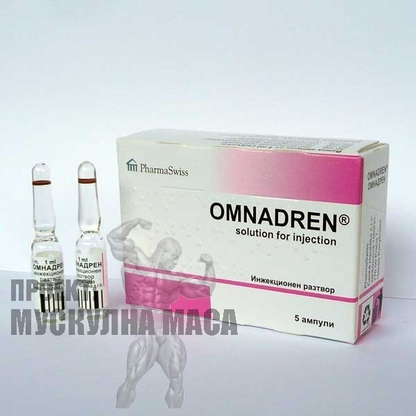 Click image for larger version. 

Name:	omnadren-250mg-cena.jpg 
Views:	3636 
Size:	37.2 KB 
ID:	154130