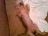 Click image for larger version. 

Name:	Tink.JPG 
Views:	258 
Size:	513.0 KB 
ID:	154520