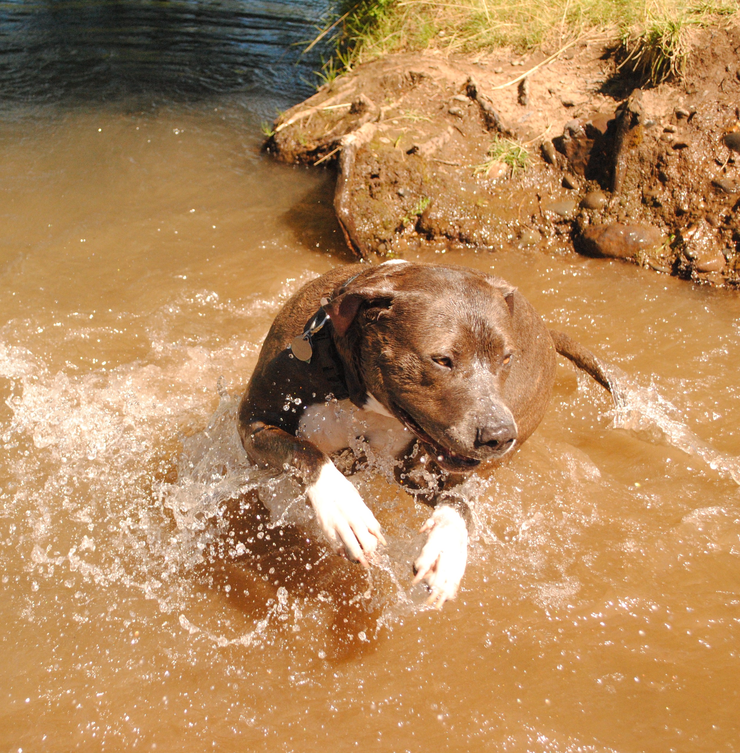 Click image for larger version. 

Name:	DSC_0184.JPG 
Views:	186 
Size:	1.53 MB 
ID:	154623