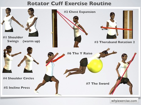 Click image for larger version. 

Name:	rotator.cuff.exercises.routine.jpeg 
Views:	2854 
Size:	51.6 KB 
ID:	158050