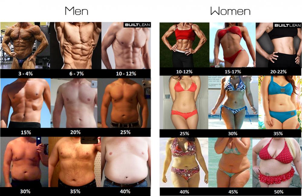 Click image for larger version. 

Name:	body-fat-percentage-men-women.jpg 
Views:	1853 
Size:	100.6 KB 
ID:	158174