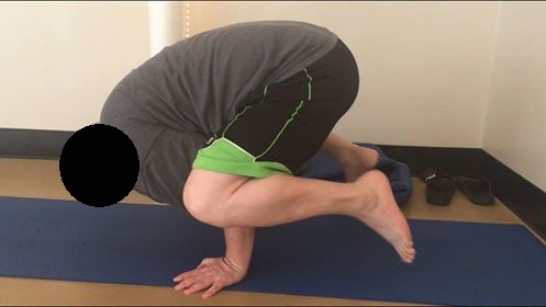 Click image for larger version. 

Name:	crow pose.jpg 
Views:	82 
Size:	25.6 KB 
ID:	165476