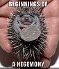 Click image for larger version. 

Name:	Hegemony.jpg 
Views:	120 
Size:	55.2 KB 
ID:	165979