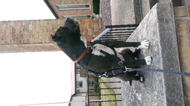 Click image for larger version. 

Name:	ForumRunner_20161219_172826.jpg 
Views:	203 
Size:	42.8 KB 
ID:	166672