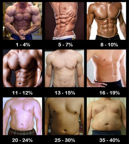 Click image for larger version. 

Name:	body-fat-percentage.jpg 
Views:	149 
Size:	45.8 KB 
ID:	166760