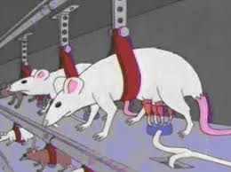 Click image for larger version. 

Name:	rat-milk-dairy-farm.jpg 
Views:	367 
Size:	7.2 KB 
ID:	169416