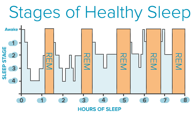 Click image for larger version. 

Name:	Stages-of-Sleep1.png 
Views:	47 
Size:	27.6 KB 
ID:	170146