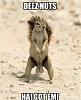 Click image for larger version. 

Name:	baby-squirrel-deeznuts.jpg 
Views:	72 
Size:	20.1 KB 
ID:	170814