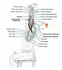 Click image for larger version. 

Name:	4E39C9F3-1295-462E-AE73-6E055340DBD1.jpeg 
Views:	270 
Size:	83.6 KB 
ID:	173939