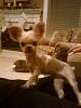 Click image for larger version. 

Name:	Tink.JPG 
Views:	107 
Size:	531.2 KB 
ID:	177517